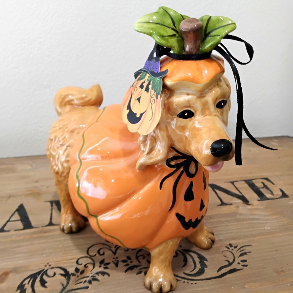 Blue Sky Golden Retriever Pumpkin Dog Costume with Hat